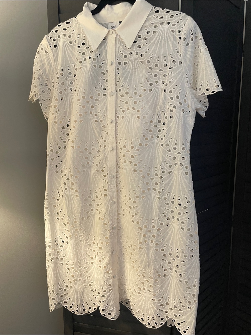 CAbi White Eyelet Mini Shirt Dress